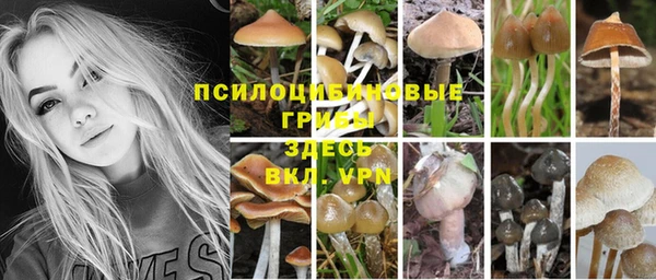 кокс Каменка