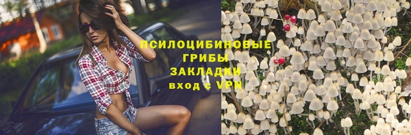 кокс Каменка