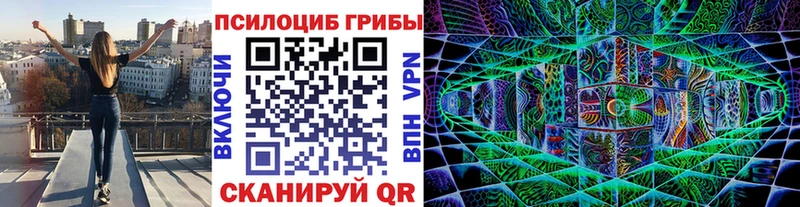 купить наркотик  blacksprut tor  Галлюциногенные грибы Magic Shrooms  Карачев 